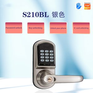 digital-main-door-lock